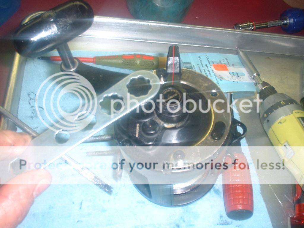 Shimano TLD 25 rebuild — Florida Sportsman